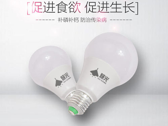 使用LED養雞燈應注意那些問題